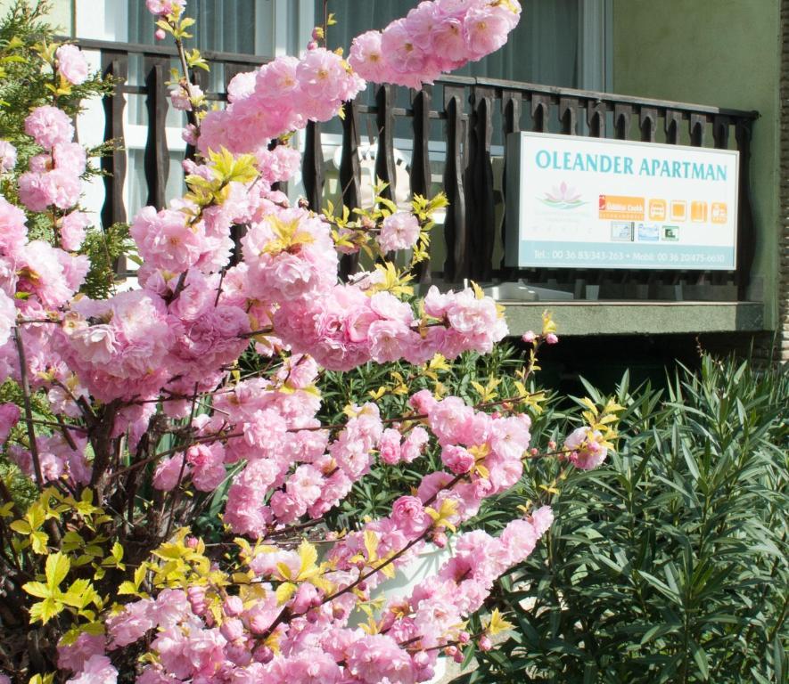 Oleander Apartman ヘーヴィーズ エクステリア 写真