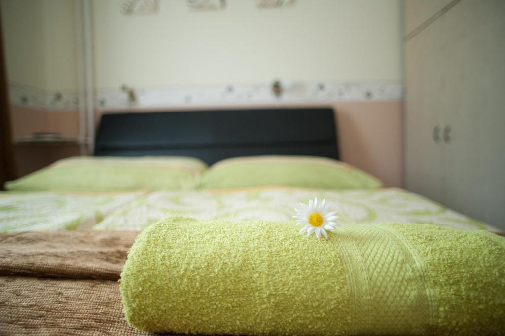 Oleander Apartman ヘーヴィーズ エクステリア 写真